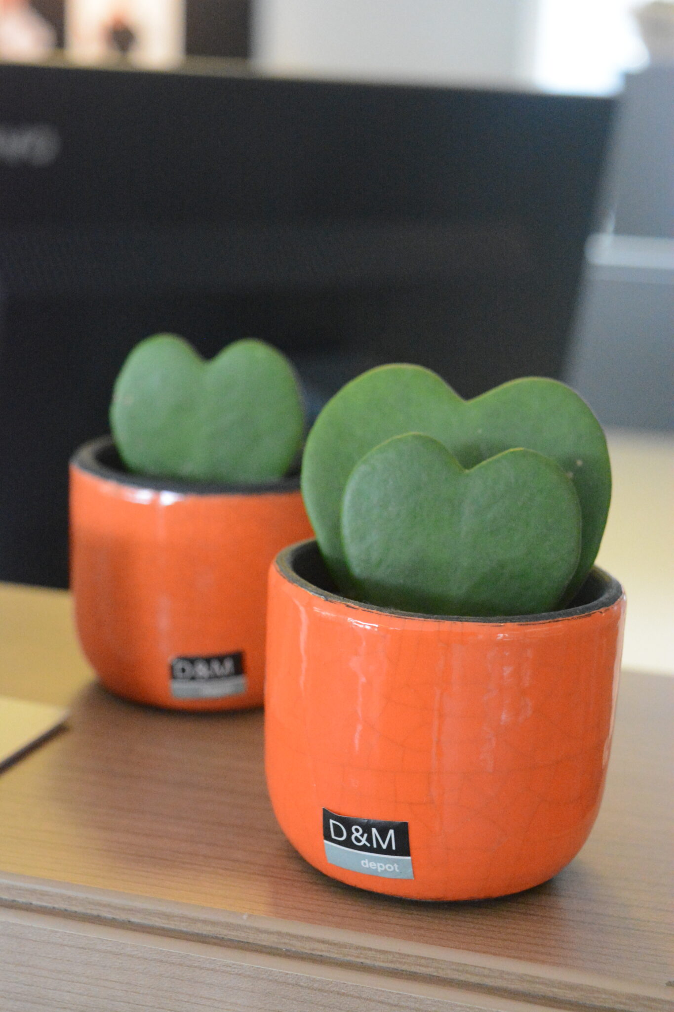 Ec9ec85a 3695 48f4 9e01 6de7904c2836